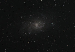 M33