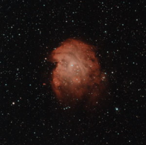 Monkey Head Nebula (NGC 2174)