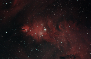 The Cone Nebula (NGC 2264)